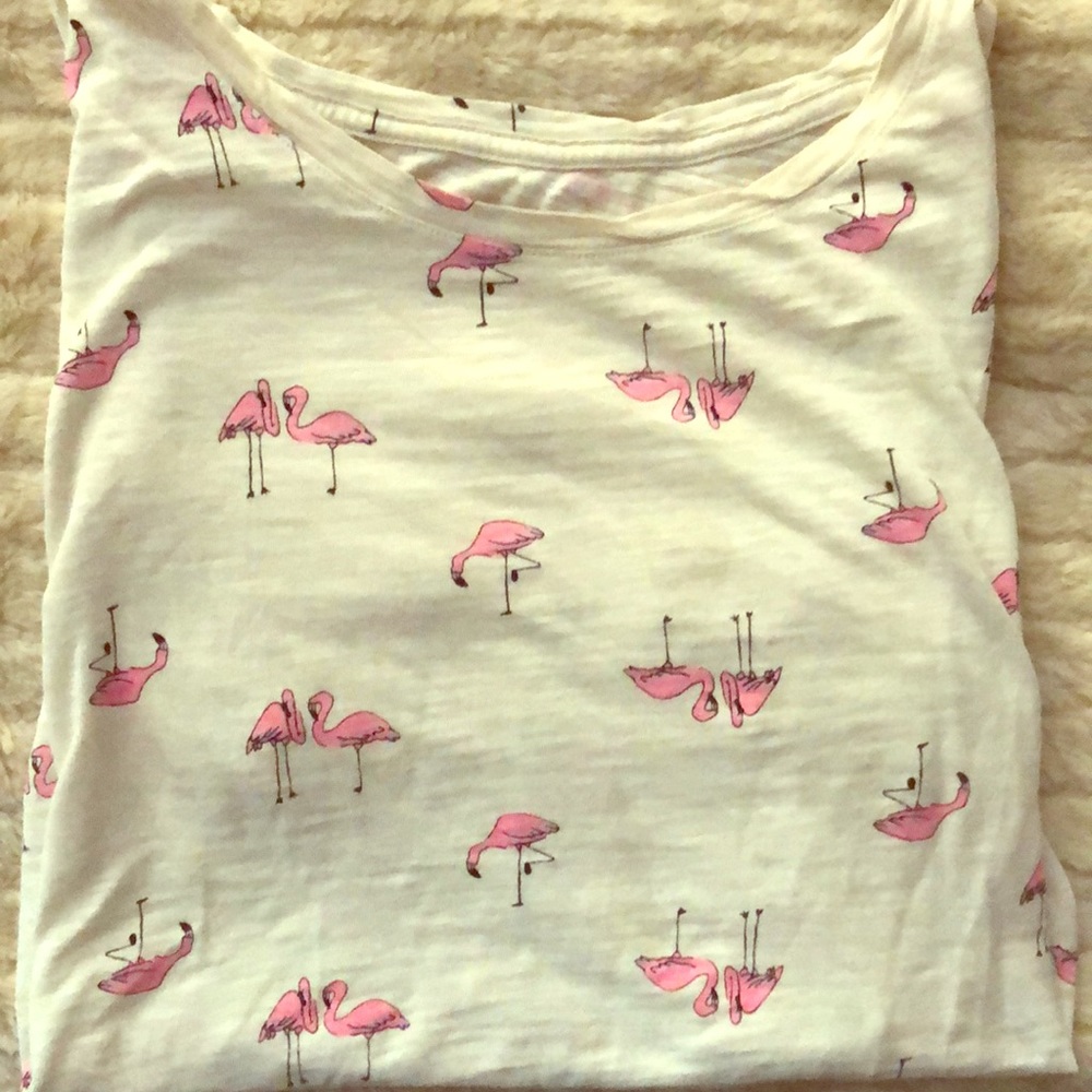 Pink flamingos